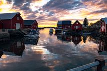 214013_Solnedgang i Bud