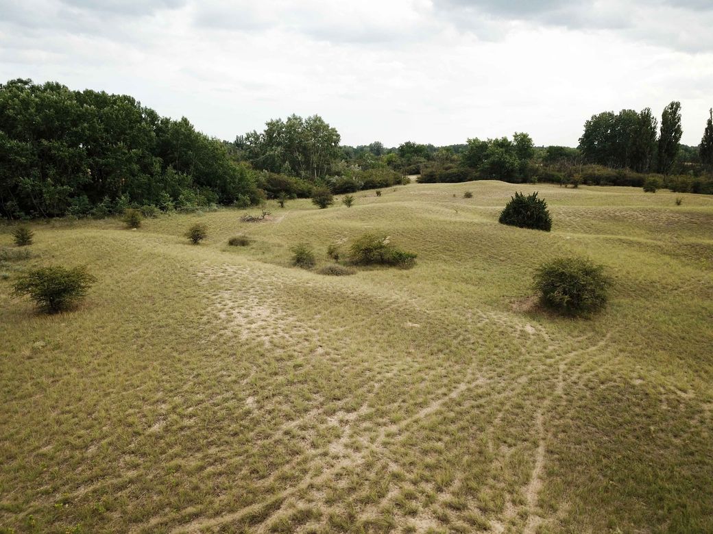 210826Sanddünen 003