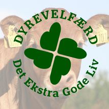 Firkløber