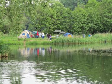 IMG_0483telte