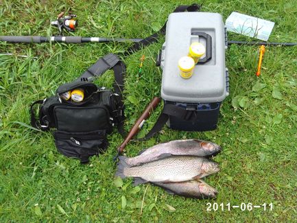 PHOT0006_FiskGrej
