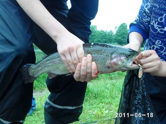 PHOT0027_20110618