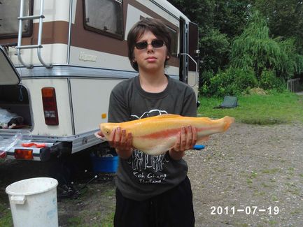 Guldoerred_20110719