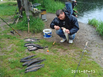 PHOT0039_mangefisk