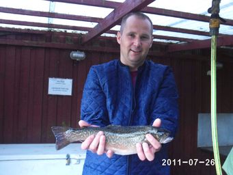 tigeroerred_20110726