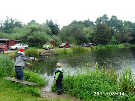PHOT0014_fluefisker