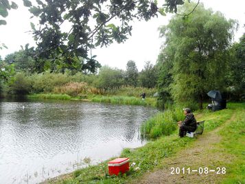 PHOT0081