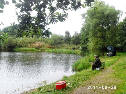 PHOT0081