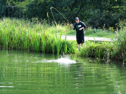 IMG_0792_Fluefisker