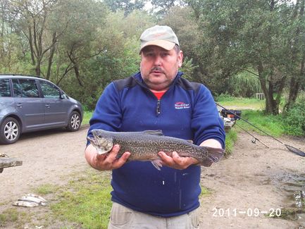PHOT0008_Tiger_20110920