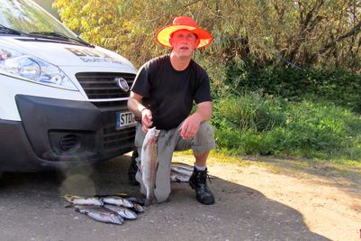 20111001_German_vieleFische