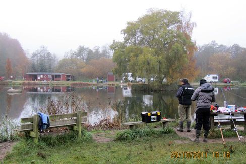 IMG_1068_Traebaggrund