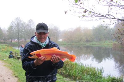 IMG_1085_Guldoerred