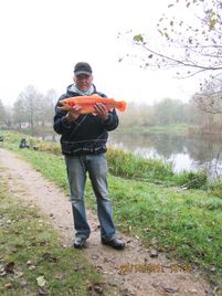 IMG_1087_Goldforelle