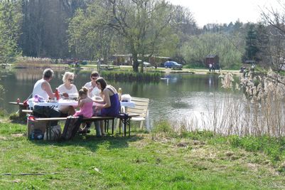 SAM_0260_Picnic