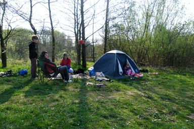 SAM_0310_Telt