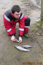 1371_trefisk