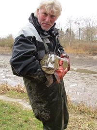 IMG_0064_Gedde