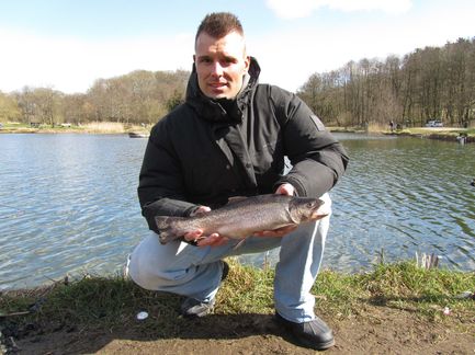 IMG_0185_tigeroerred