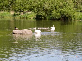 26maj_IMG_0806