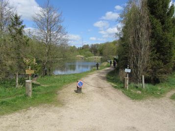 5maj_IMG_0402