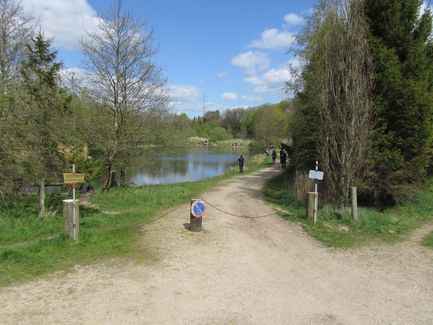 5maj_IMG_0402