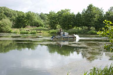 groedeIMG_4417