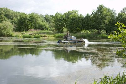 groedeIMG_4417