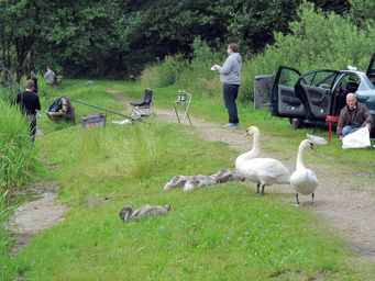 IMG_0989