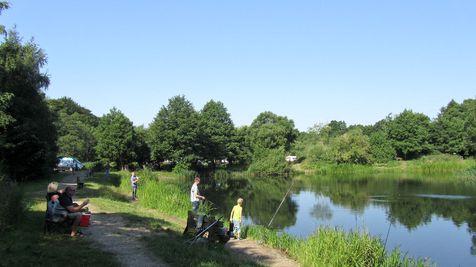 IMG_1142