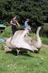 23septemberIMG_1522
