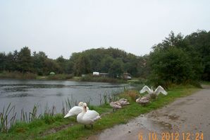 6oktober_DCP_0567