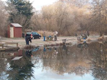 1december_CRW_5392