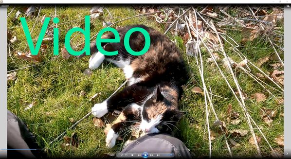Snoevsen_20190406video