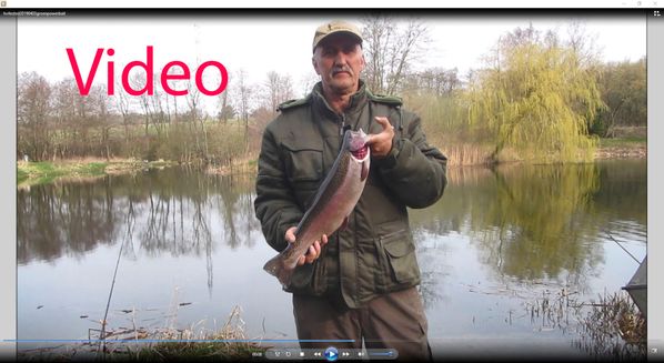 powerbaitvideo