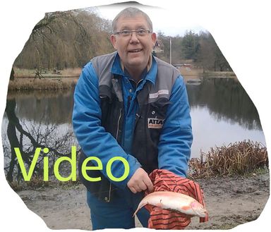 Fricke_20191225video