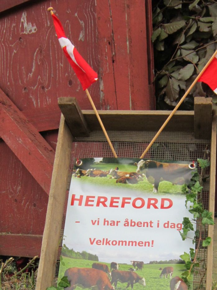 Så er der åbent I Horsens