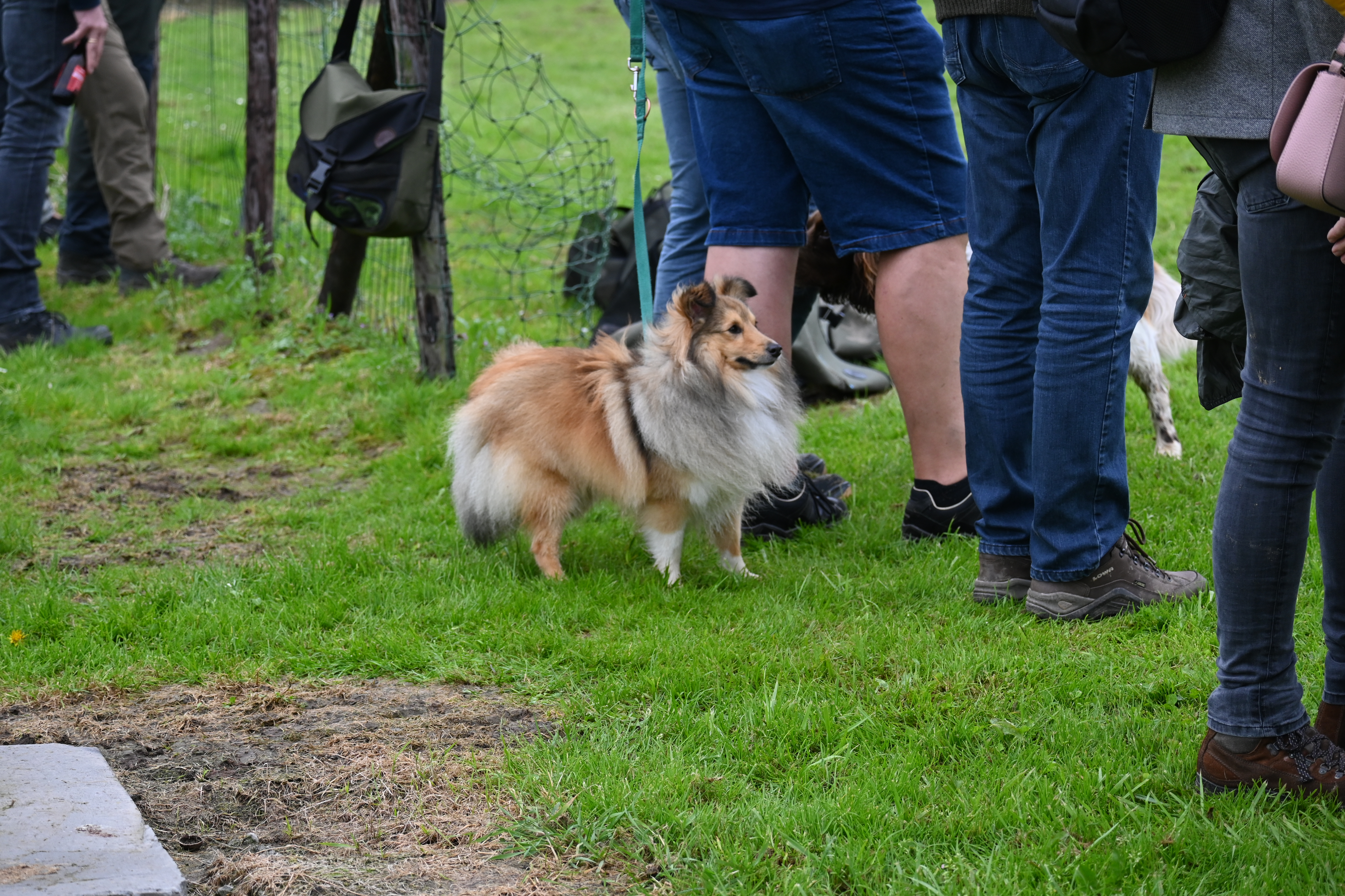 DSC_0373
