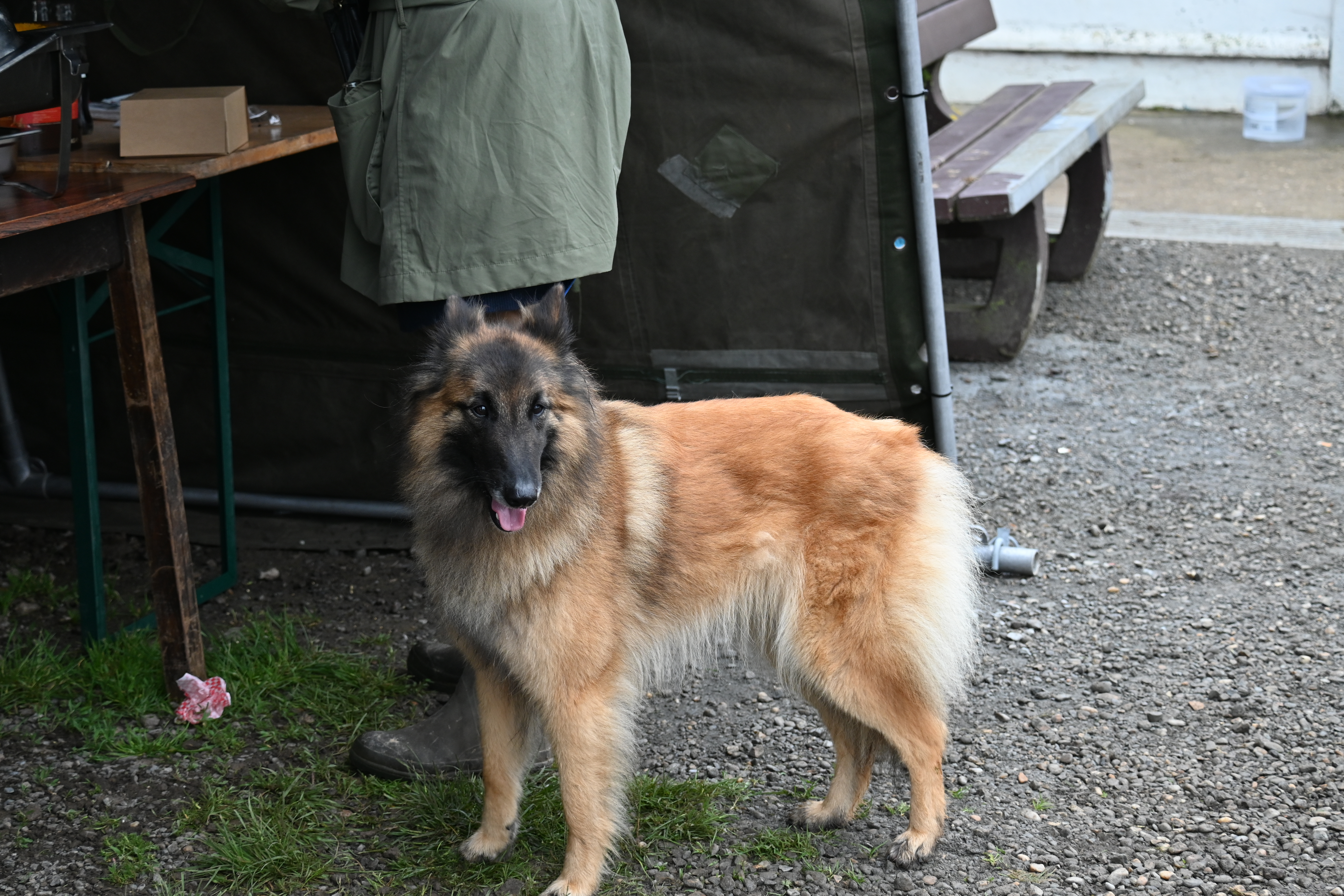 DSC_0405