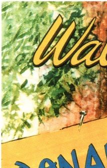 Donald Duck : OLD SEQUOIA                   Copyright : Walt Disney Productions