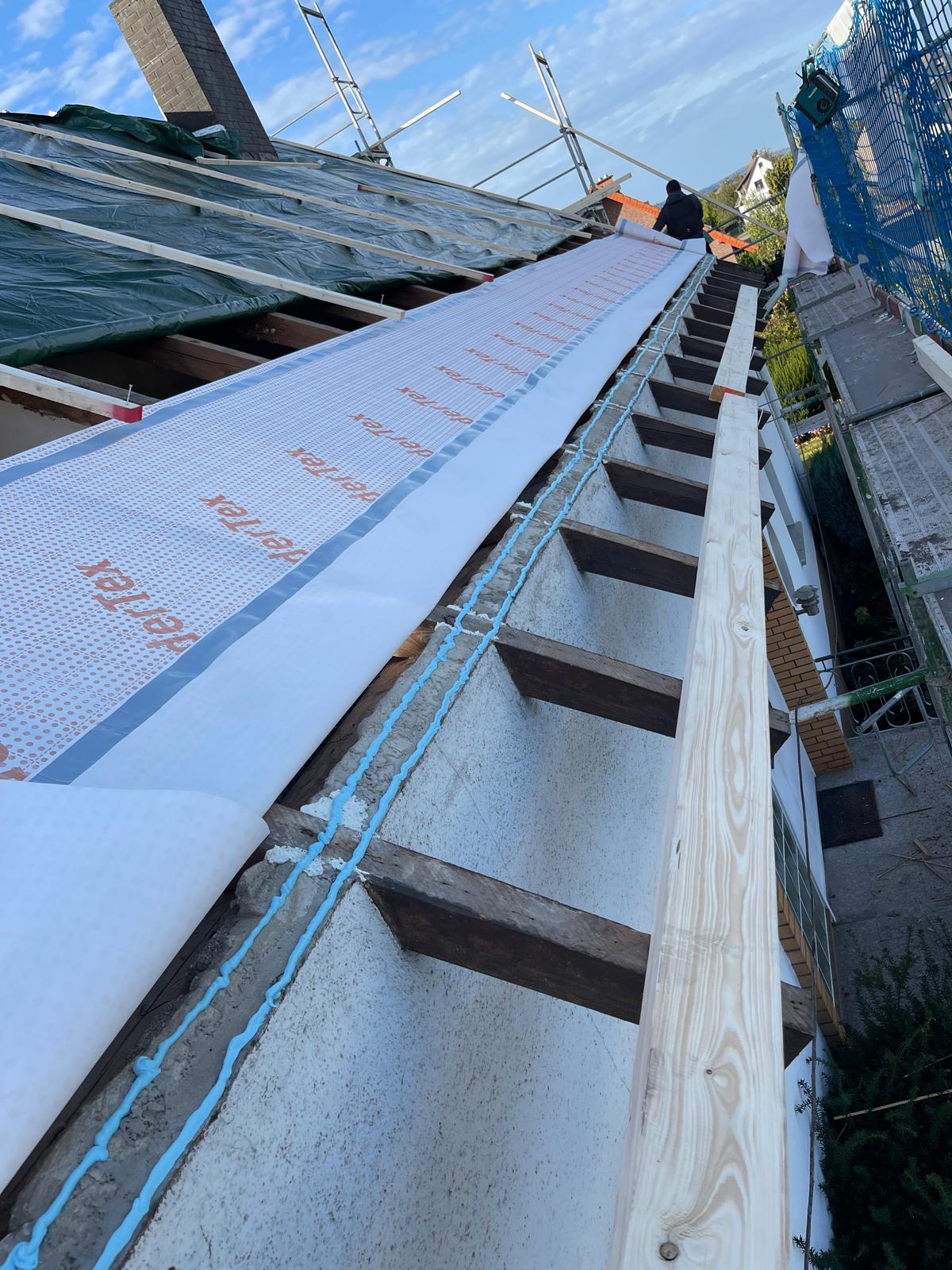 WhatsApp Image 2024-10-19 at 08.37.12 (5)