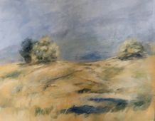 Sälgen blommar