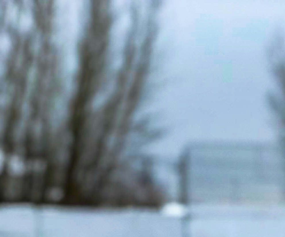 Alla hockeyresor