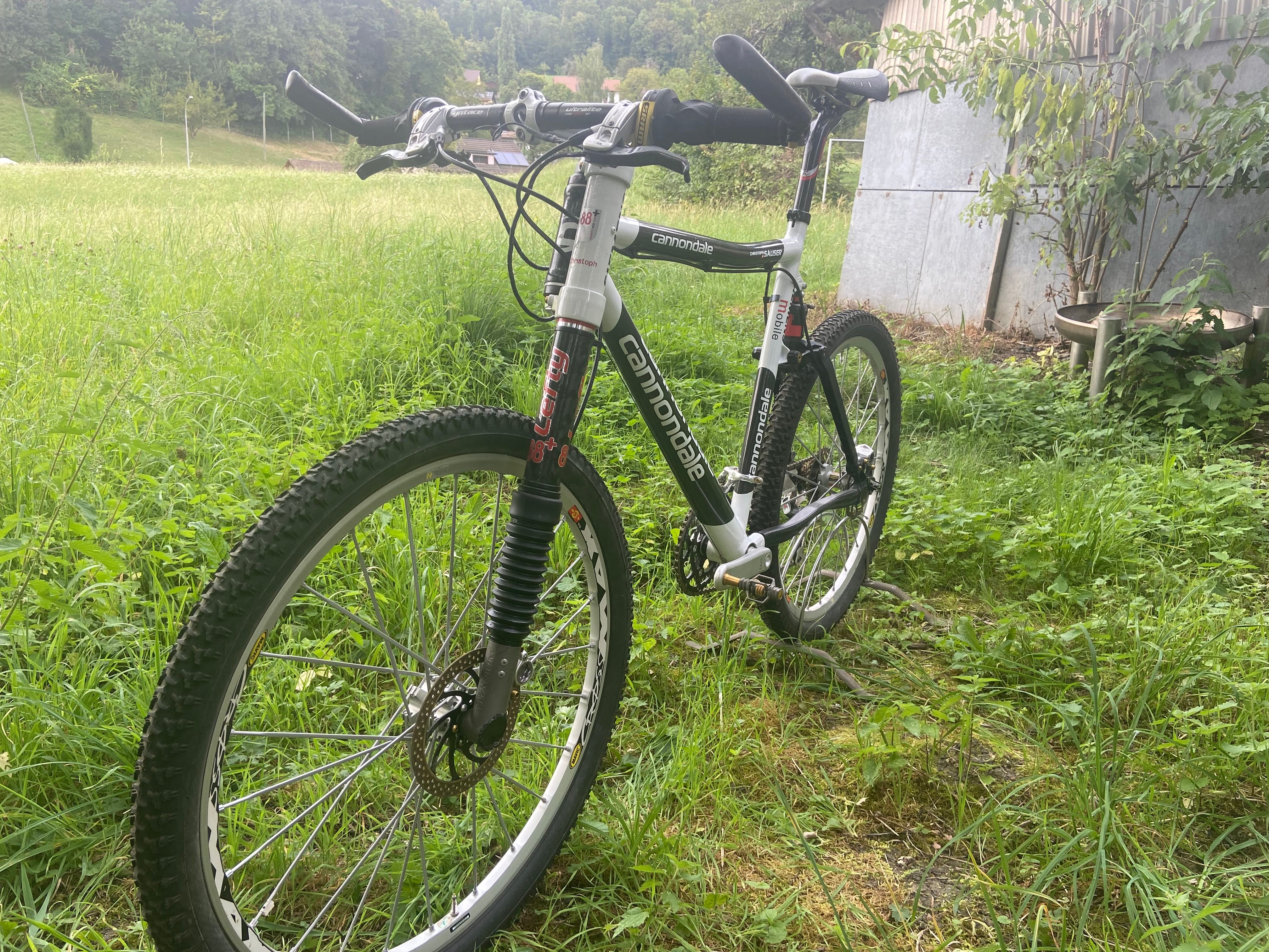 Cannondale Scalpel Christoph Sauser 2004 olympic proto www.iconicmtb