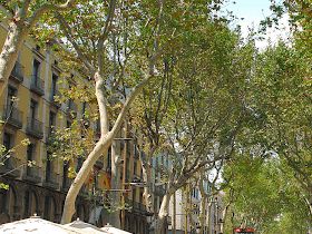 RAMBLAS