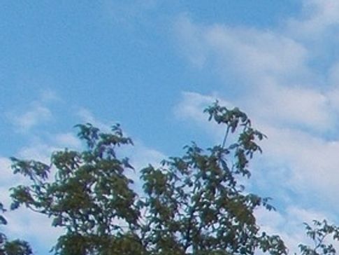 CHRISTIAN