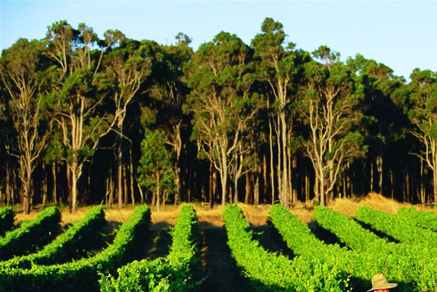 MARGARET RIVER