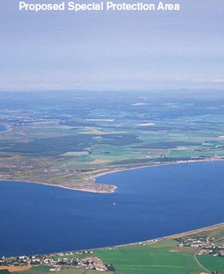 MORAY FIRTH