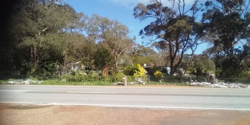 HOMESTEAD... ALBANY W AUSTRALIA...FULL OF FLOWERS,RAVENS, MAGPIES & KOOKABURRA... IT'S SPRING HERE🐦