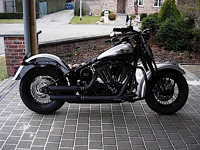 2003_Springer_01